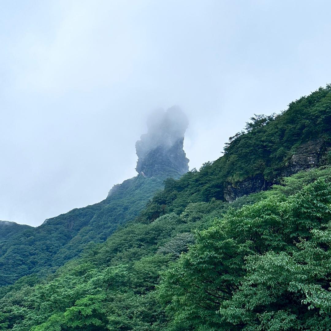 Lin林头像