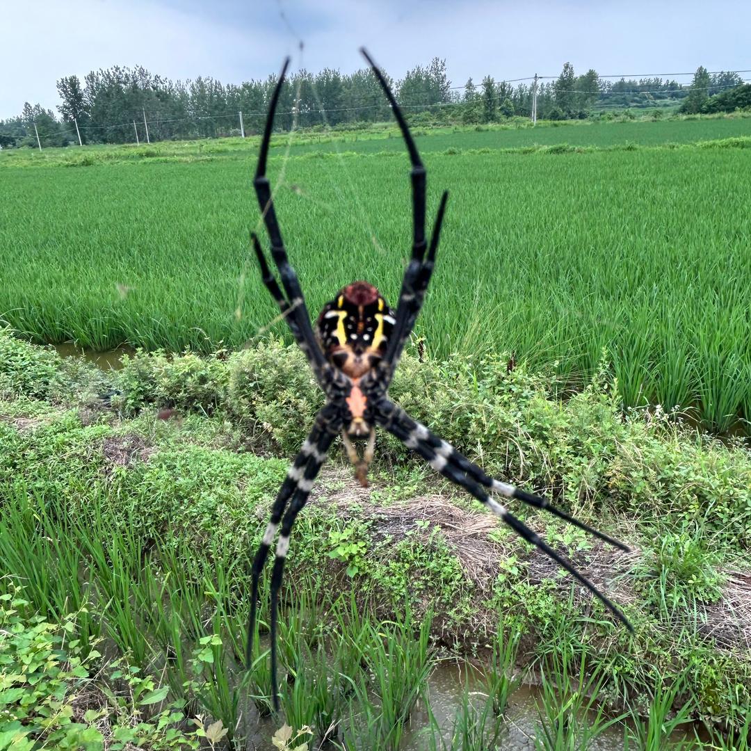 光伏✨施工队🛜