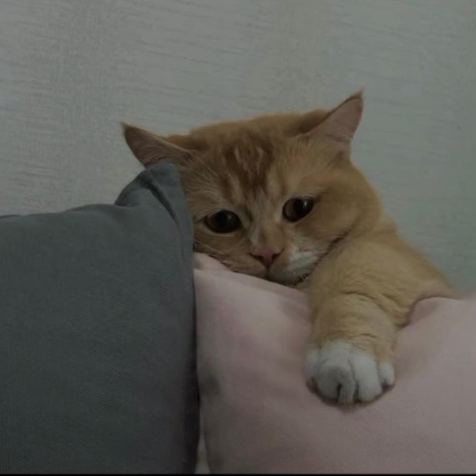 严梅梅