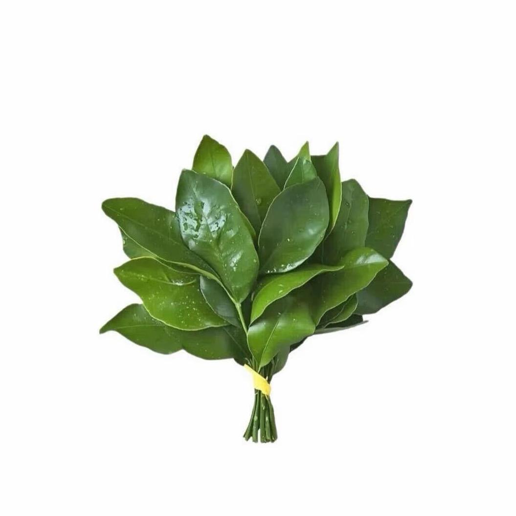 菲泥沫薯（上美团外卖版）