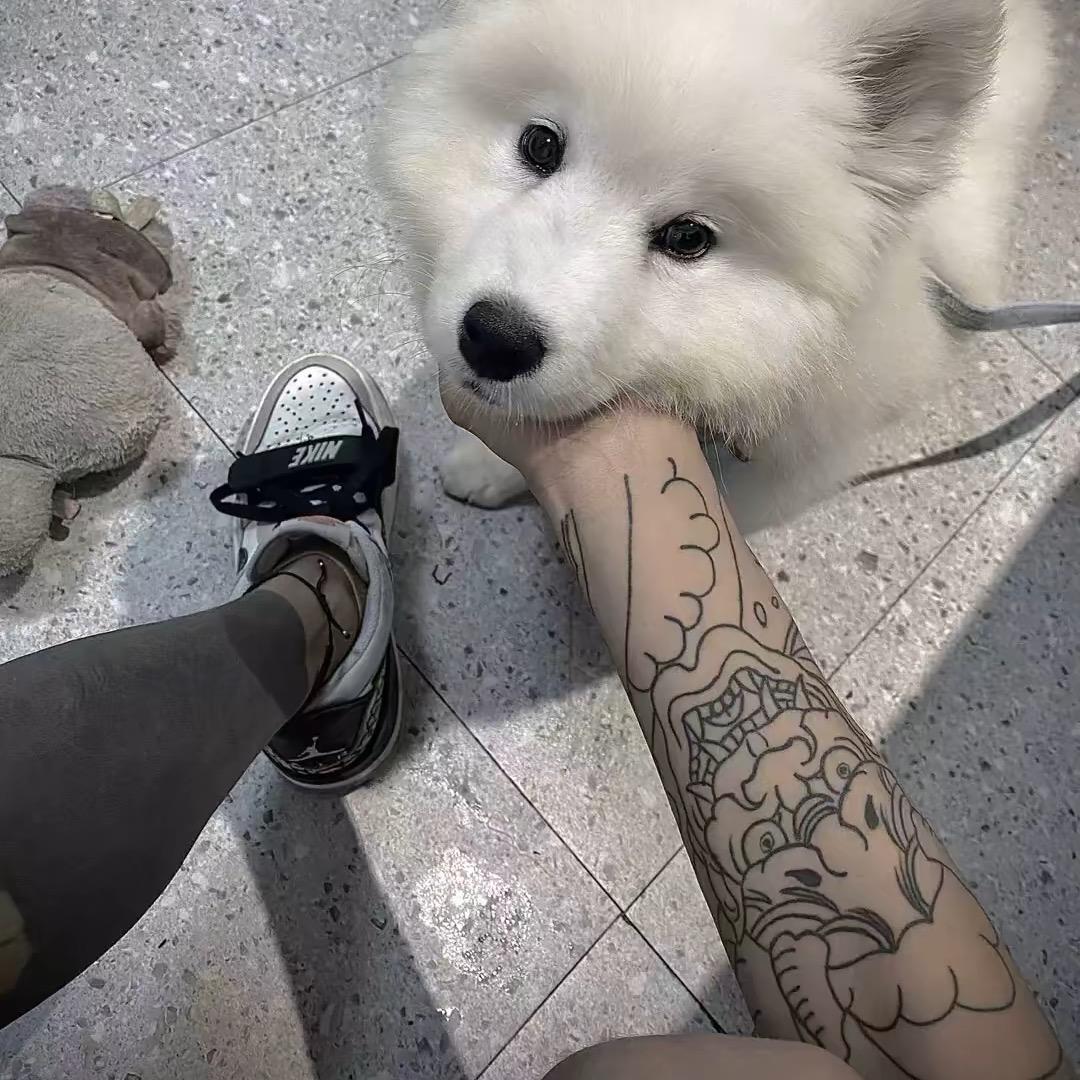 现在我已经开始