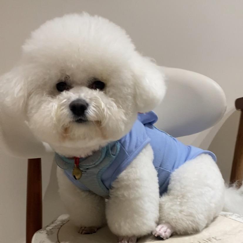 宜宠嘉宠物用品