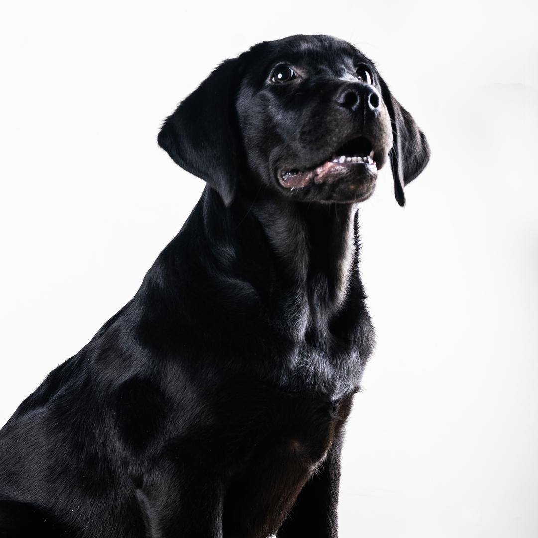 傻六的快乐生活