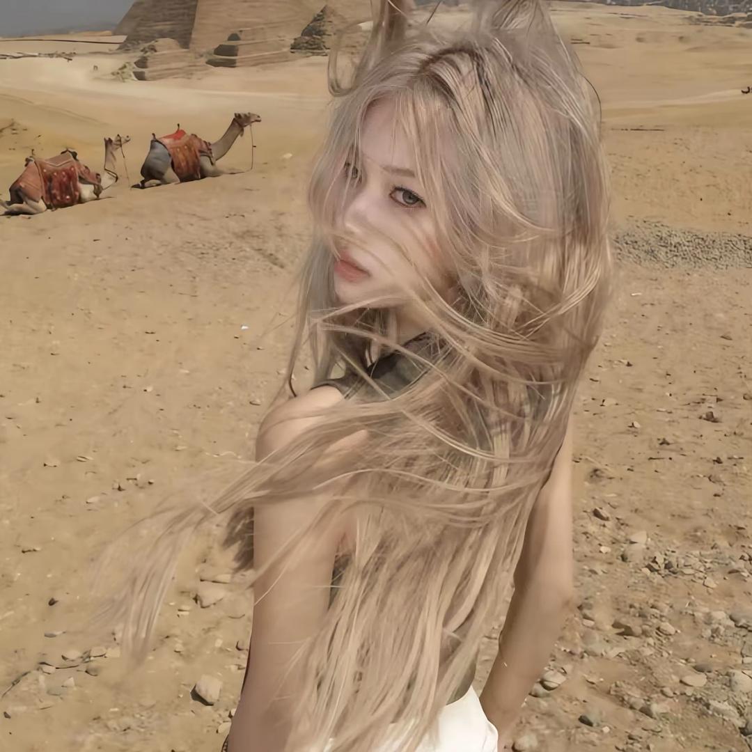 悲伤小🐑