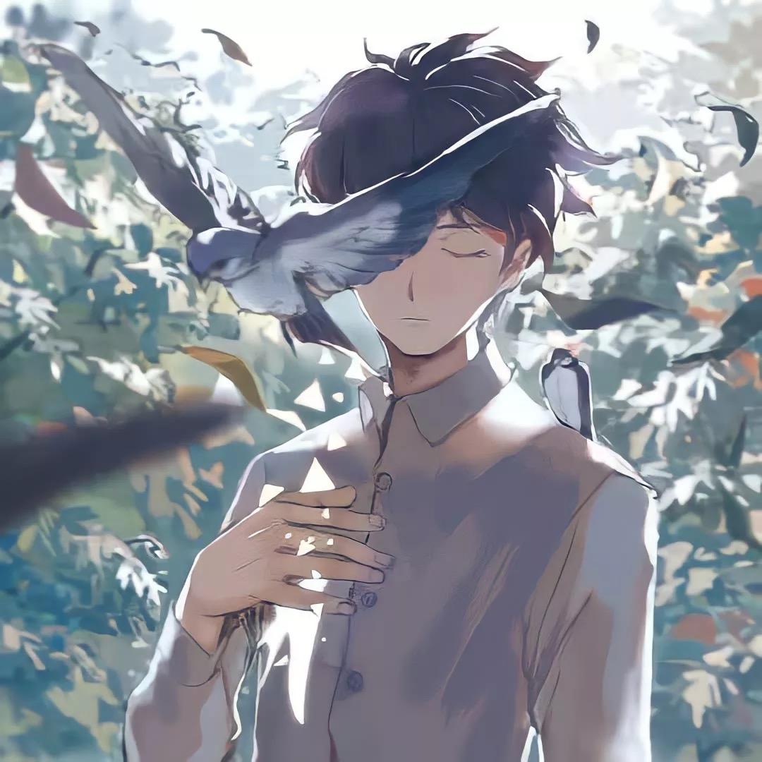 狸猫