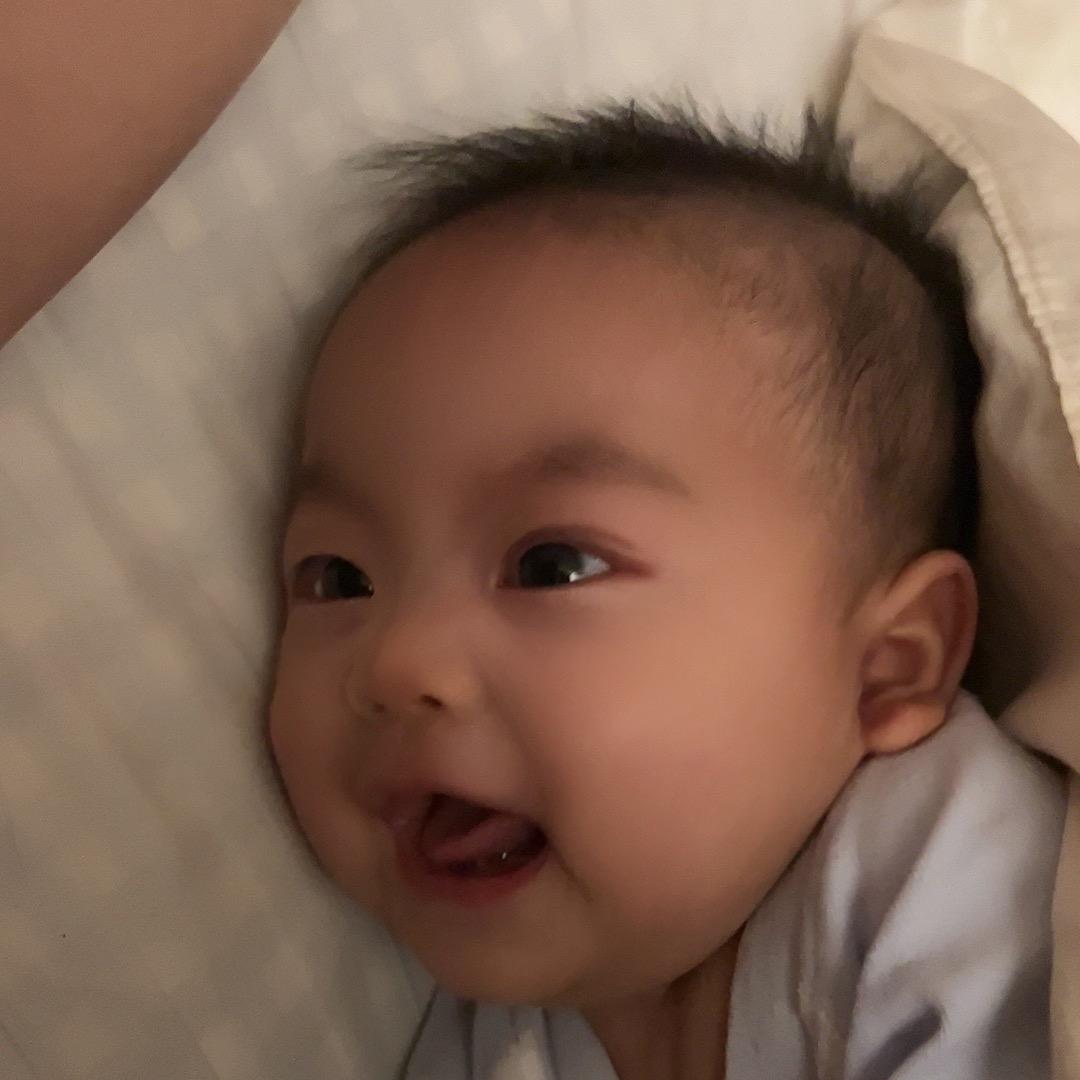 益慎君