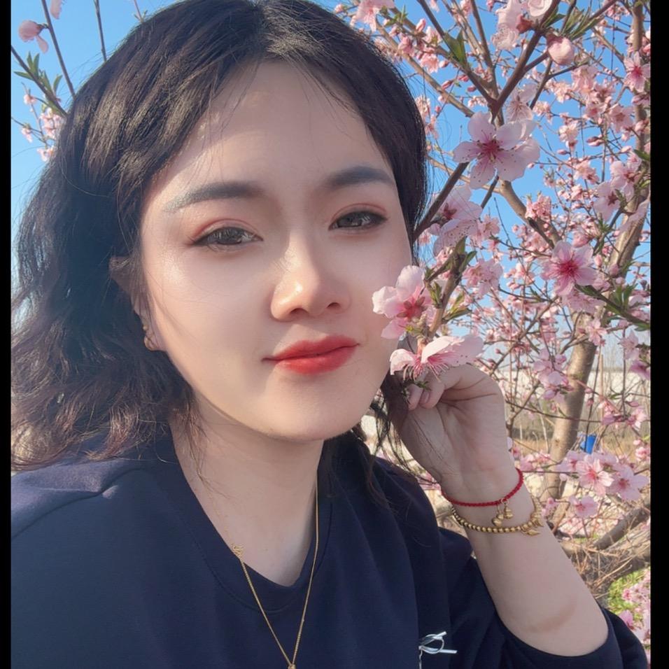 光伏新能源美玲