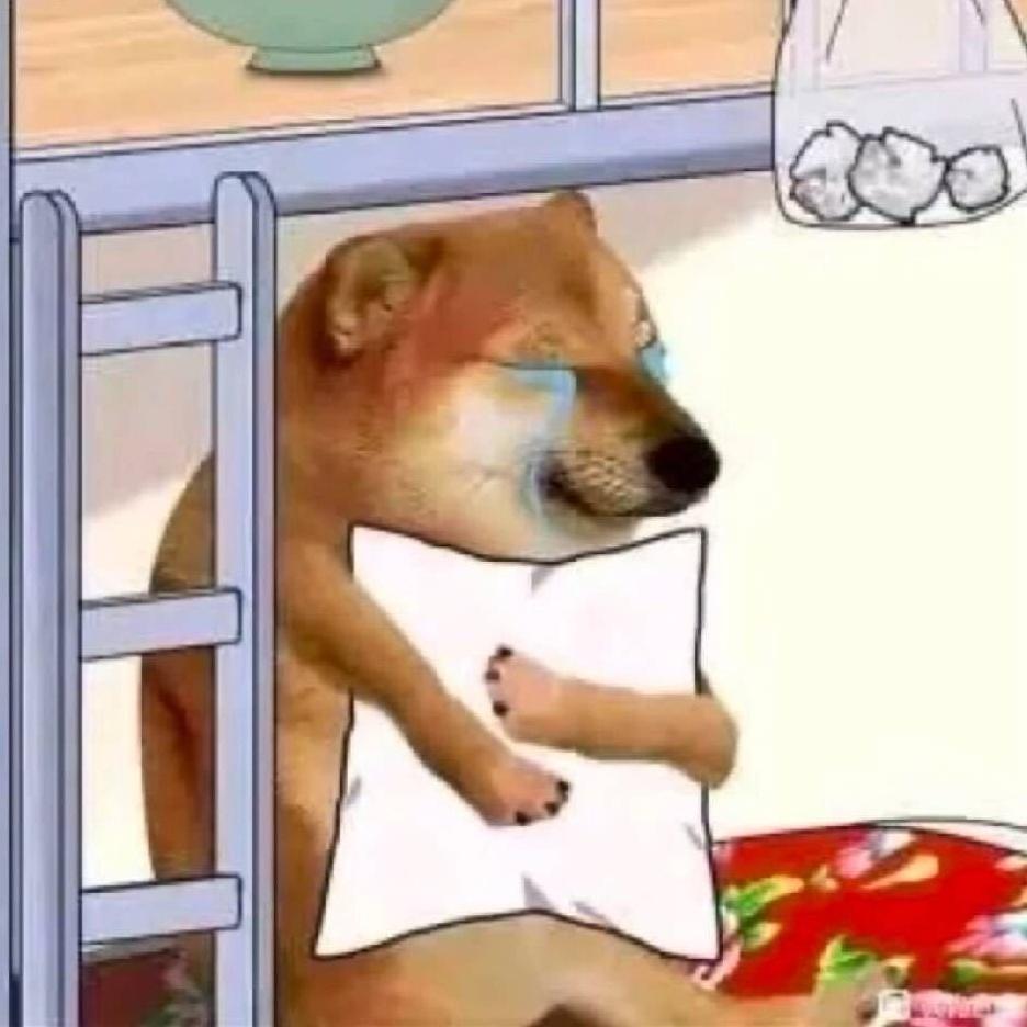 野猪亨的利456