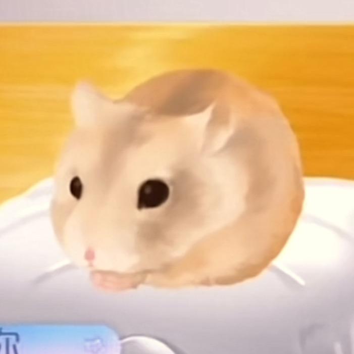 羌木羽