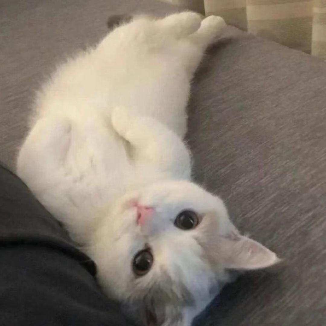 见到你就什么都好了