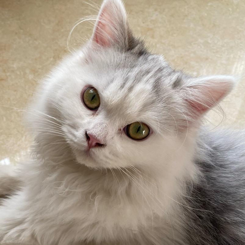 呜呜呜呜呜呜呜