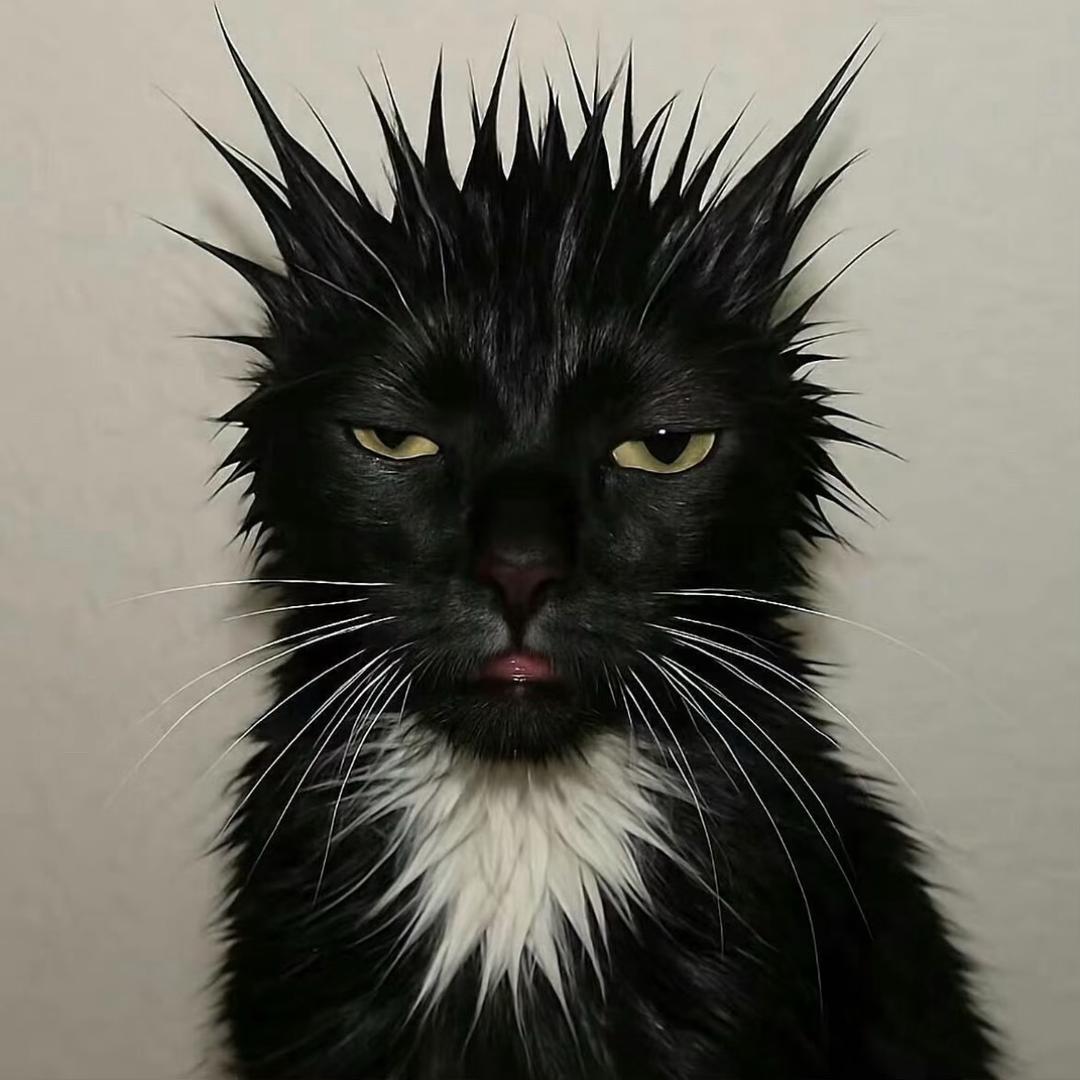 www
