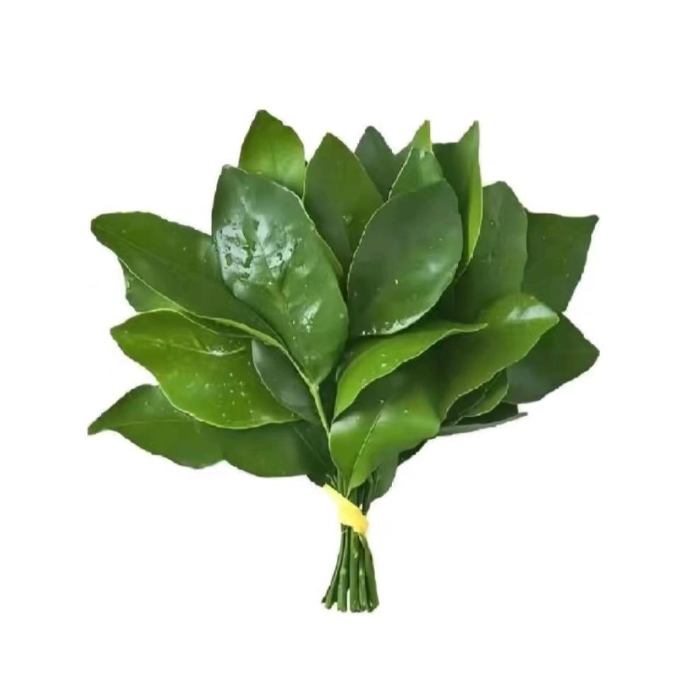 小青梅