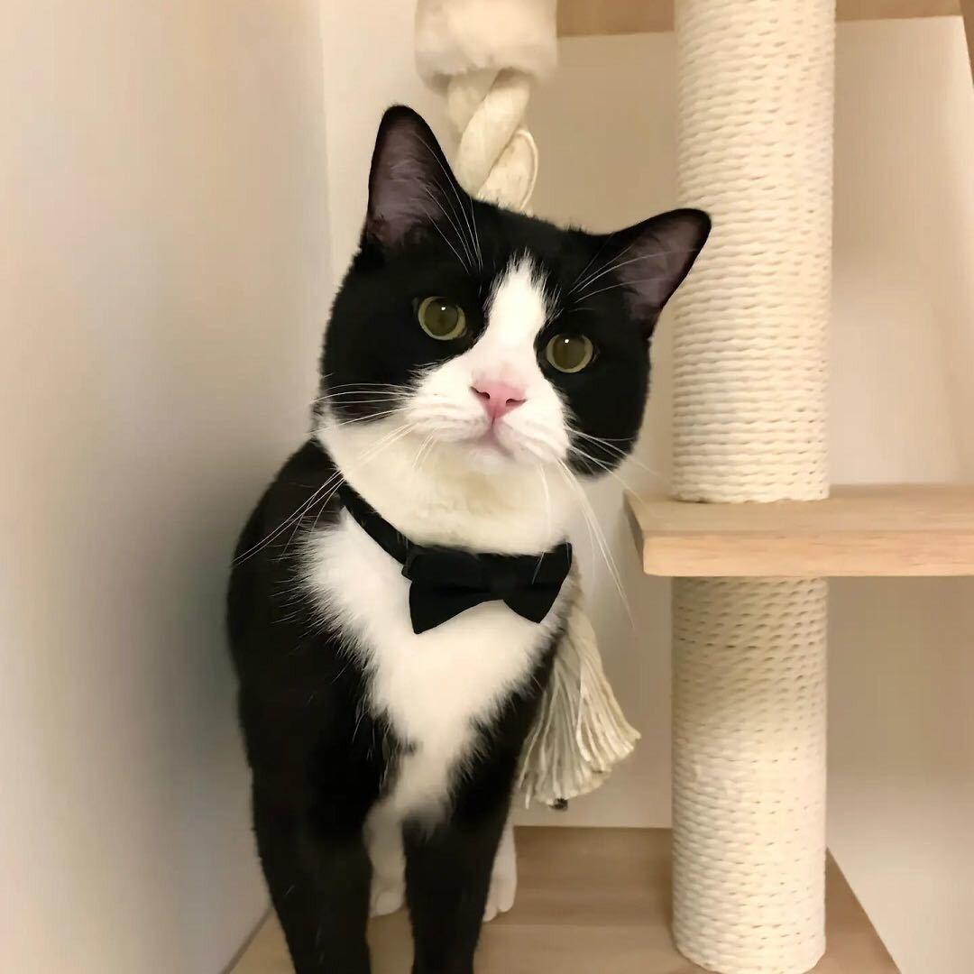 青岛免费安排工作