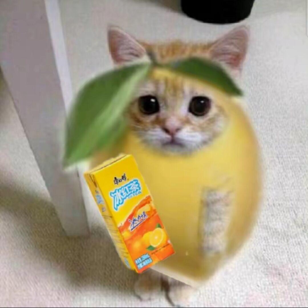 猫芒