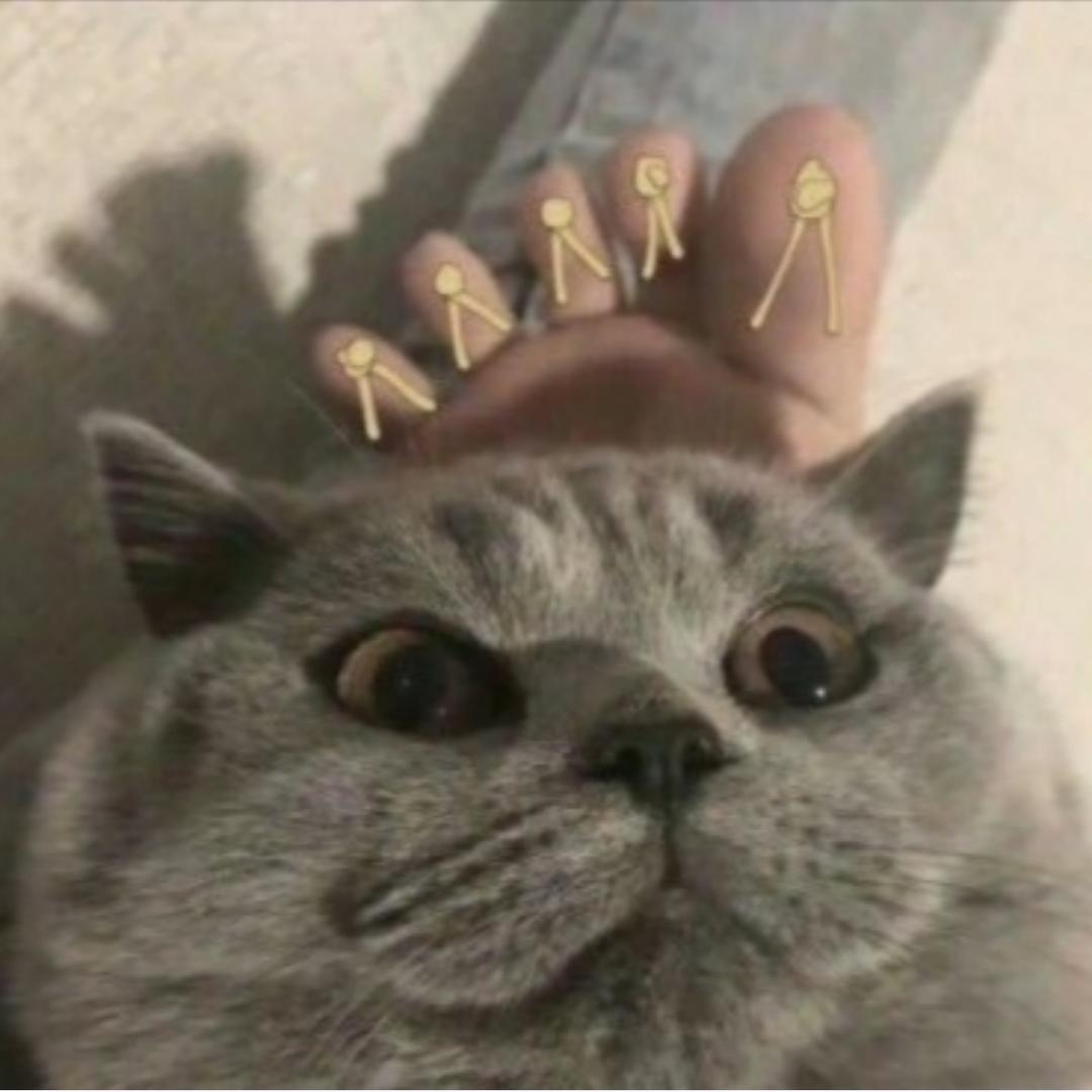 骑着蜗牛追导弹.