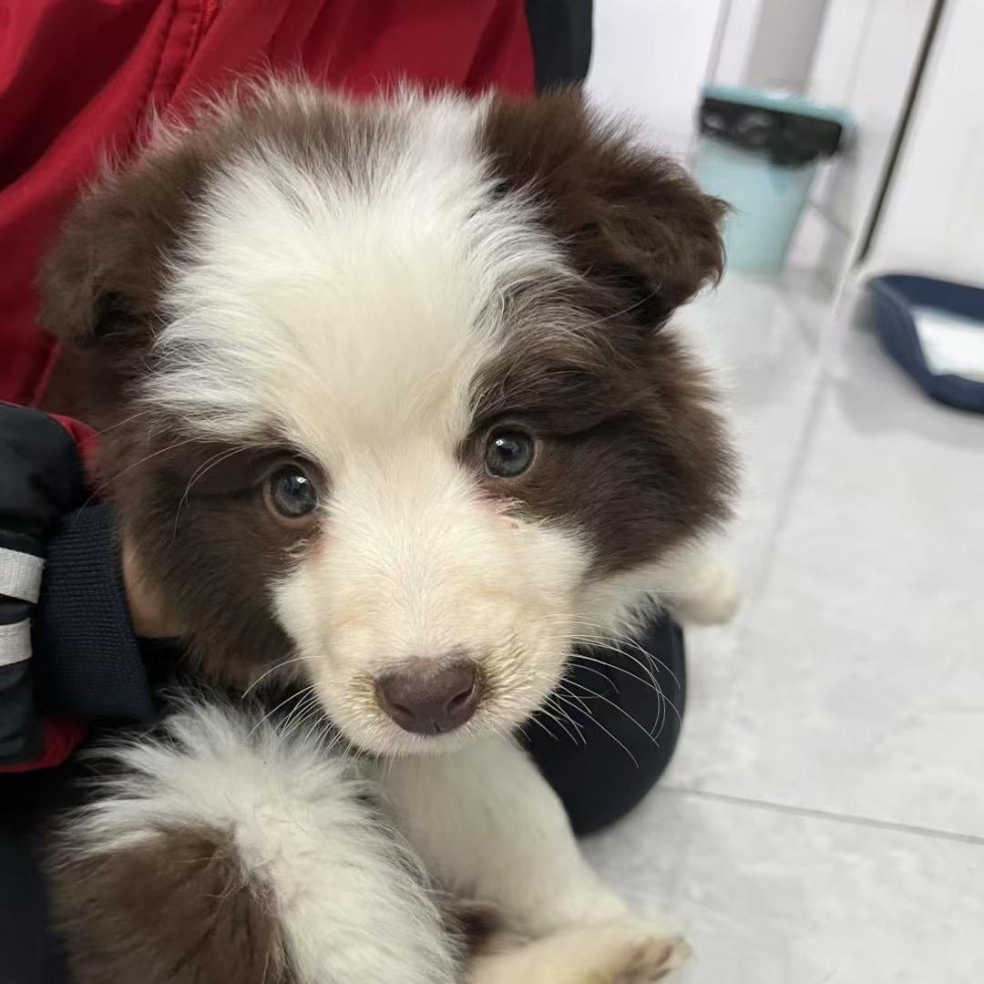 梦幻西游畅玩服死磕建邺城-长丰