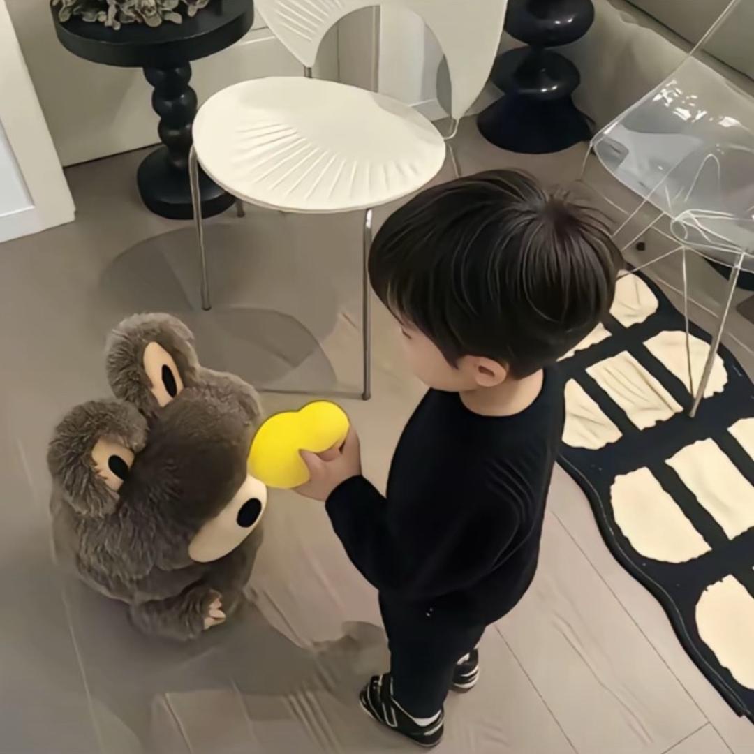 小杨.
