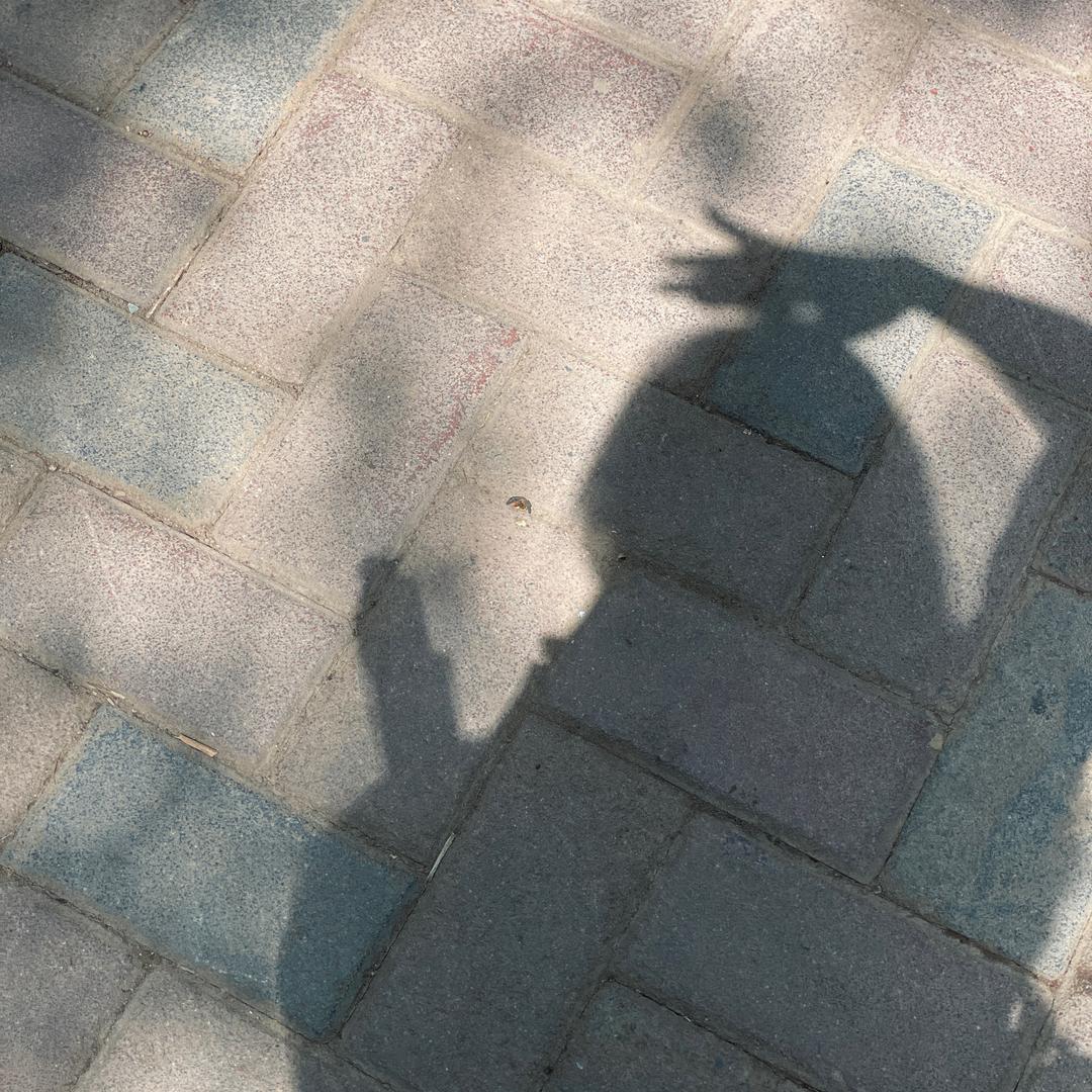 er环。
