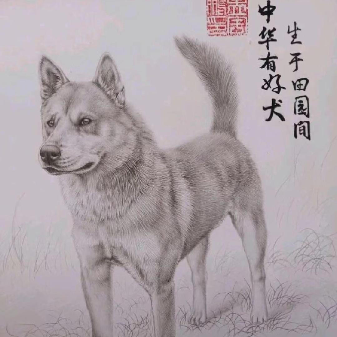 今生有约宠物店