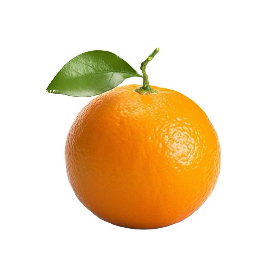 橘子