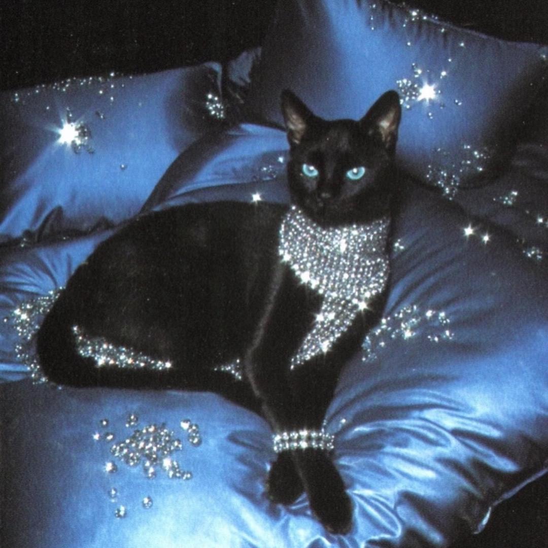 忍不住化身一条搓甲的鱼💅