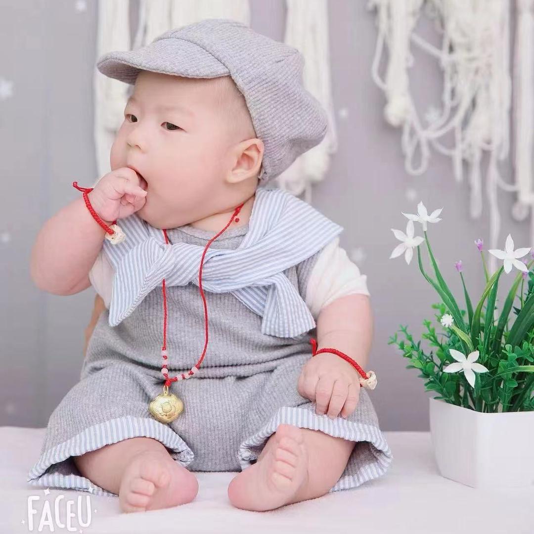 🌙✨清梦压星河