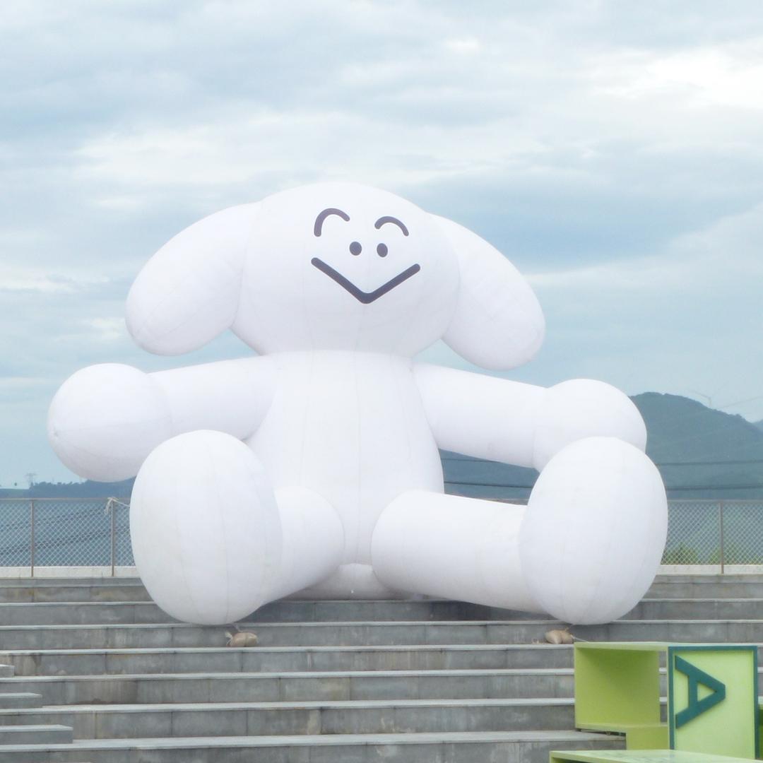 遇见西柚