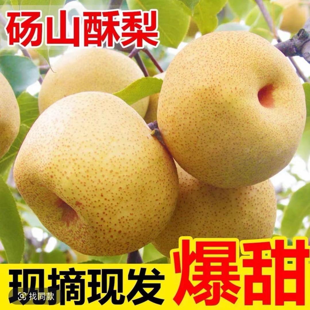 砀山酥梨产地直发