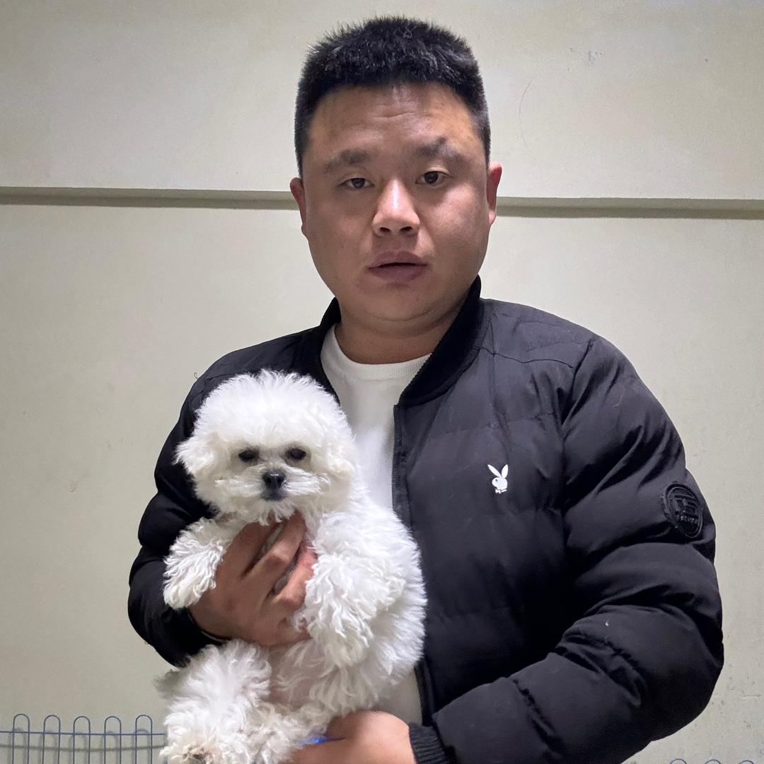 山东比熊泰迪（宠乐堡）