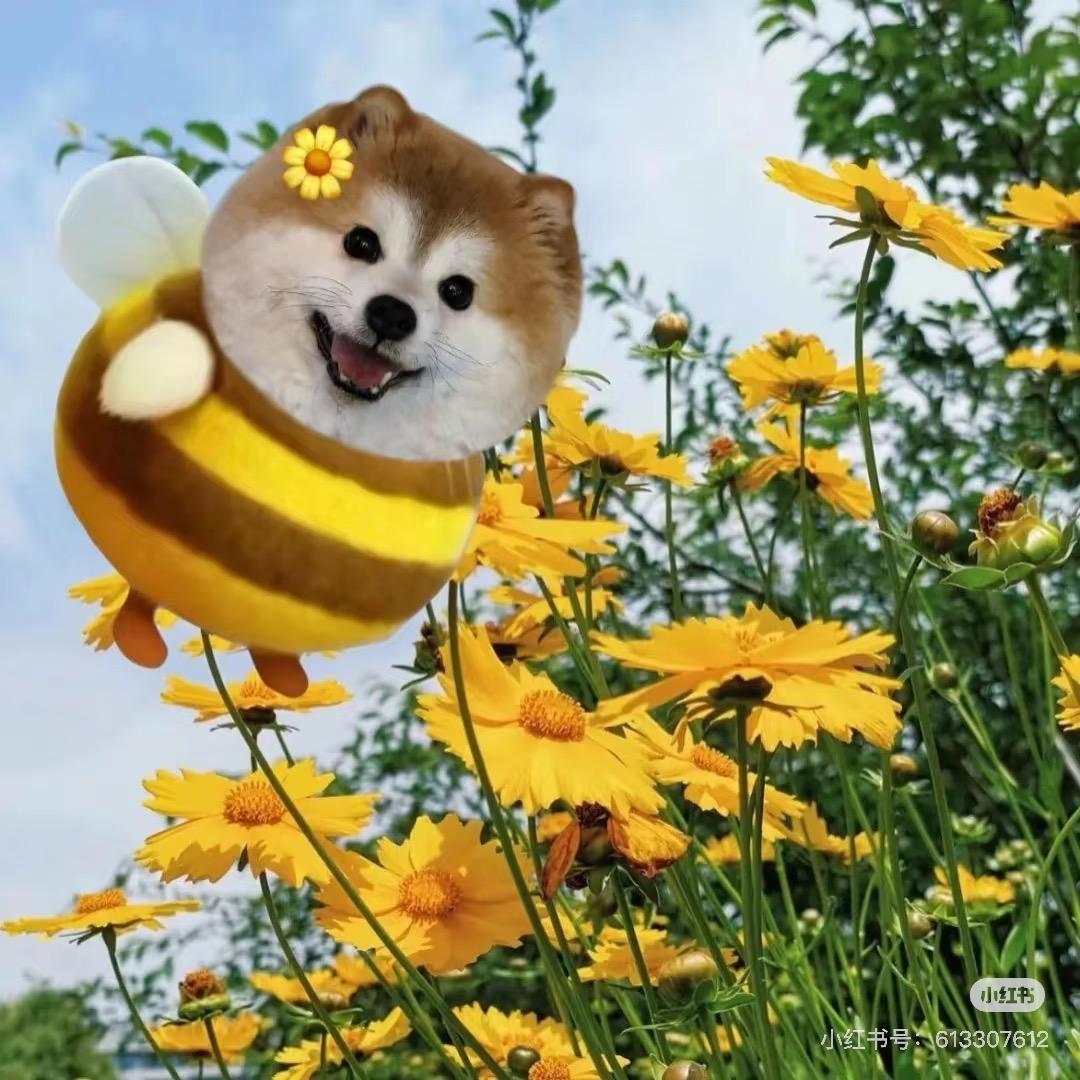 江来