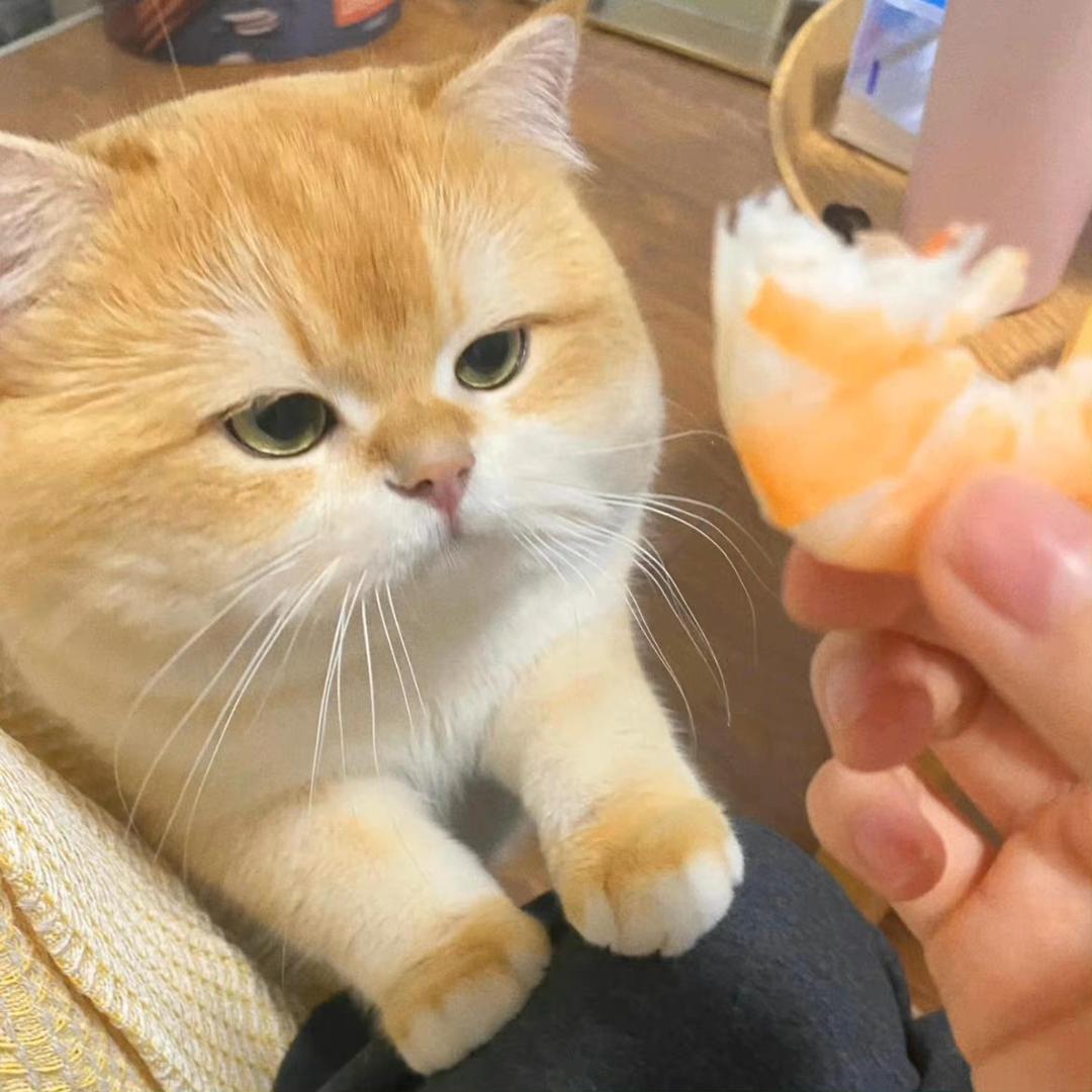 饼住呼吸-