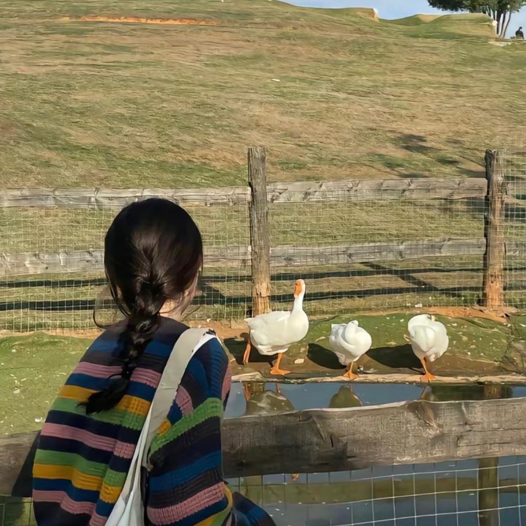 香港🇭🇰peps奢品