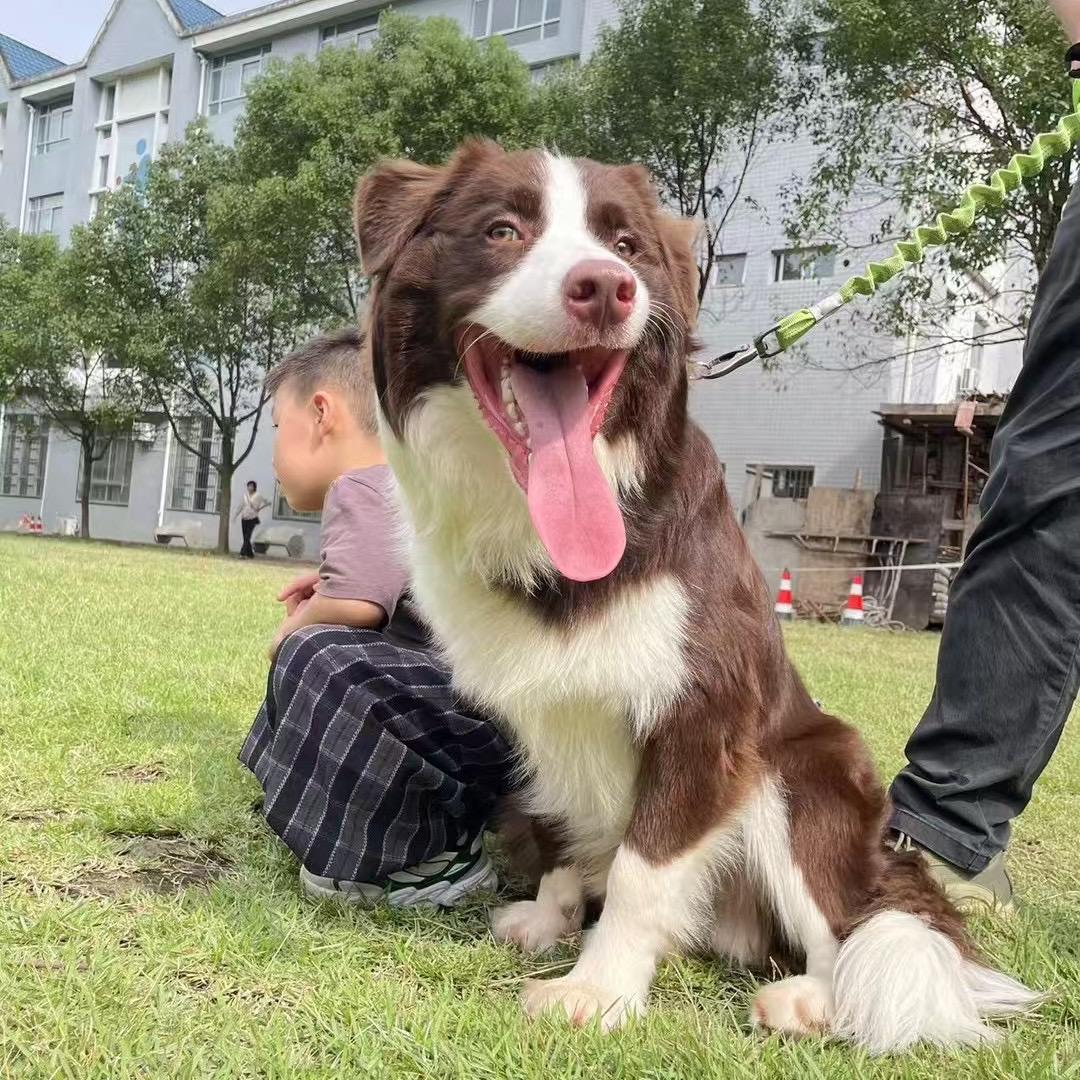 老咕严选