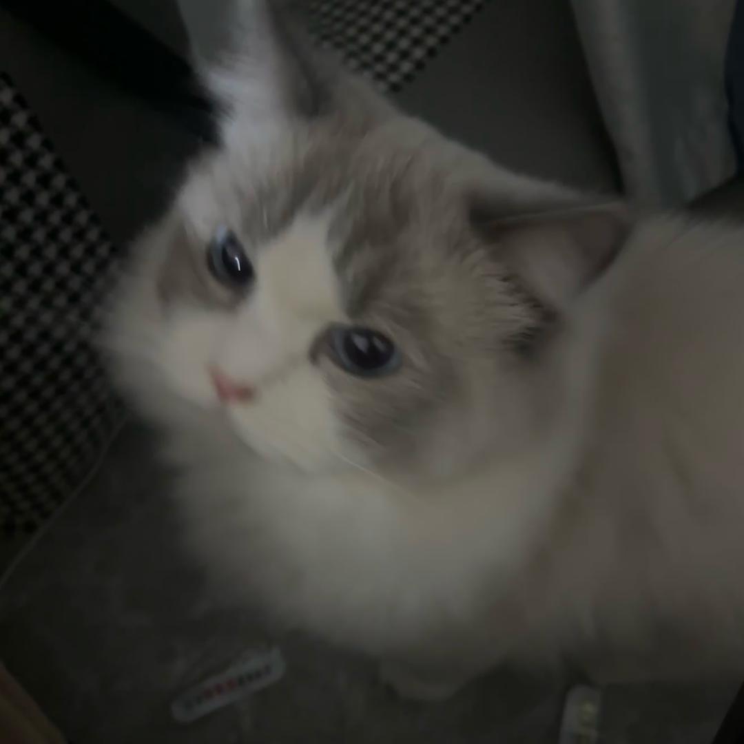 小故