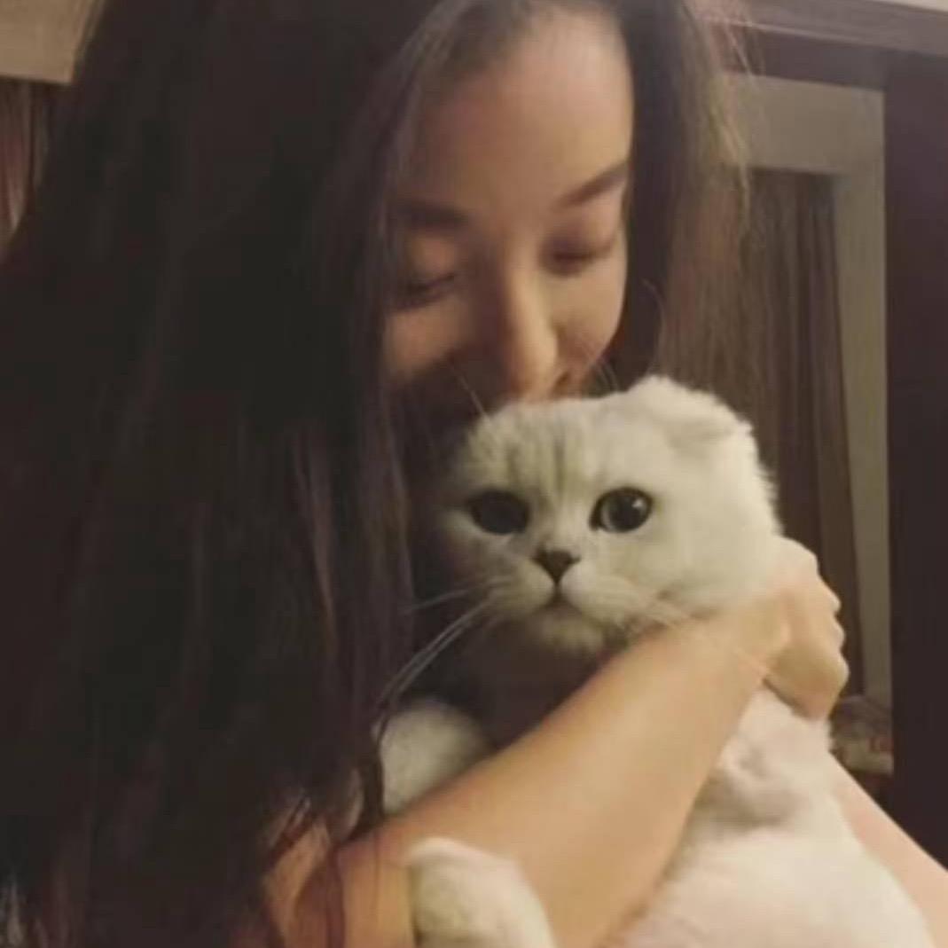 呀比呀比