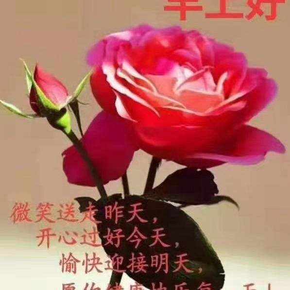 一方净土  *希雅