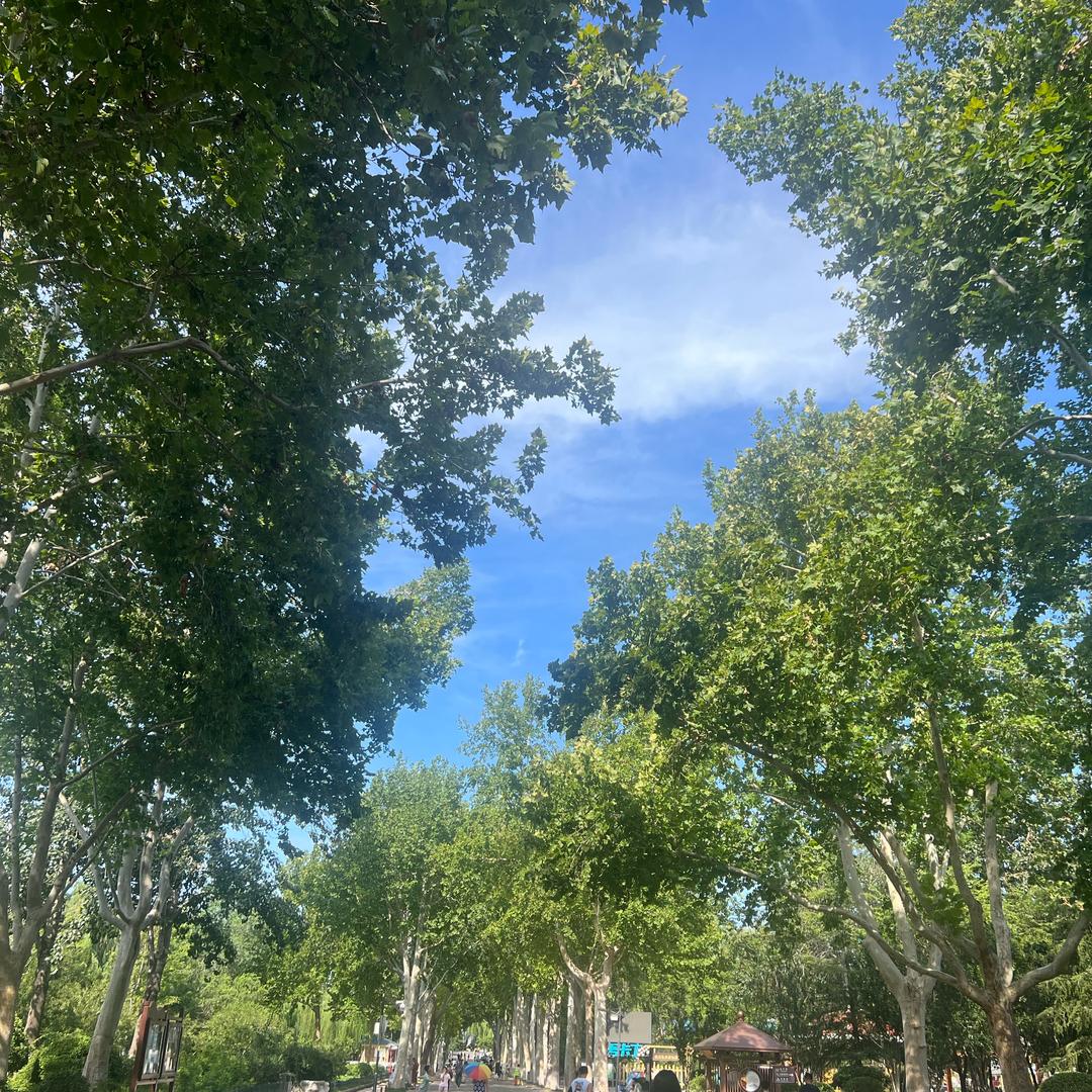 博达好物