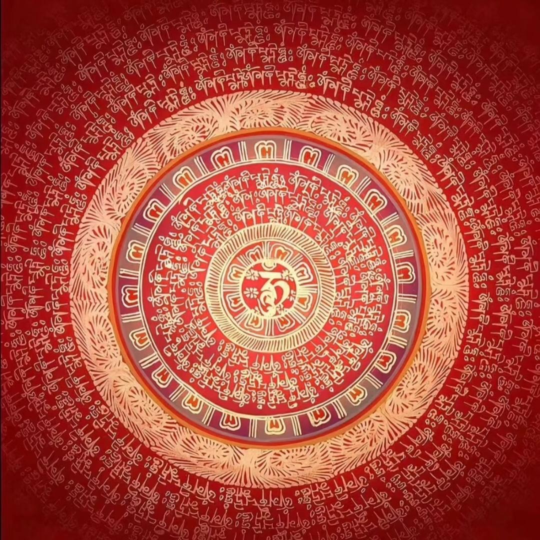 赵权智纯