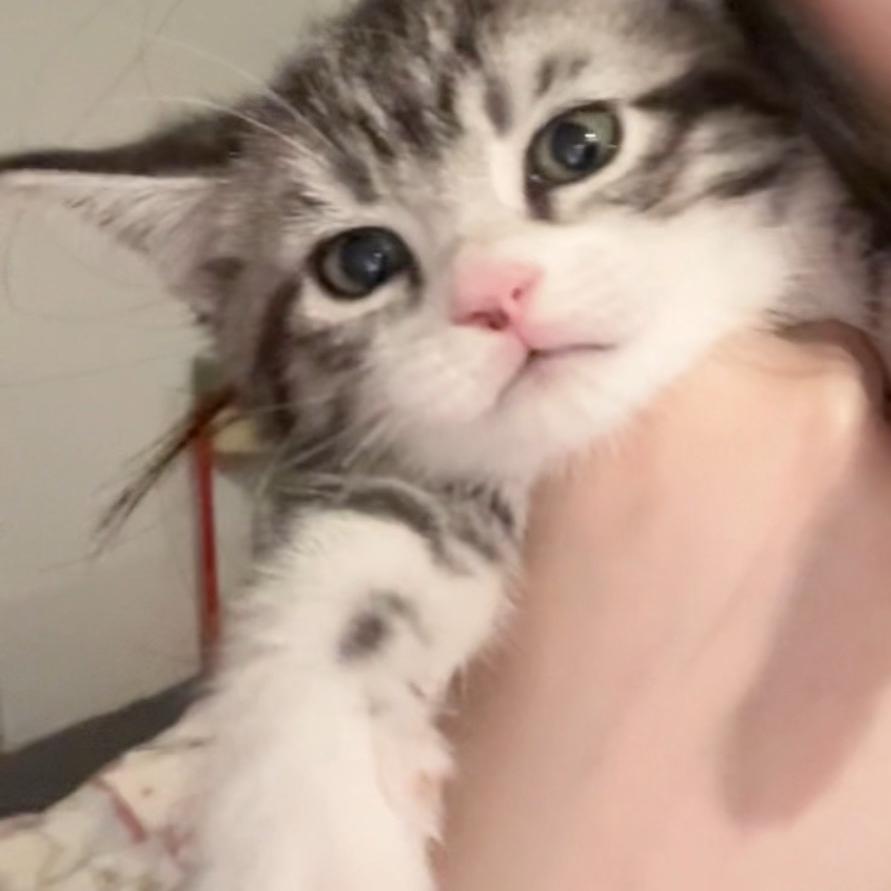 广州新如信息咨询工作室（个人独资）