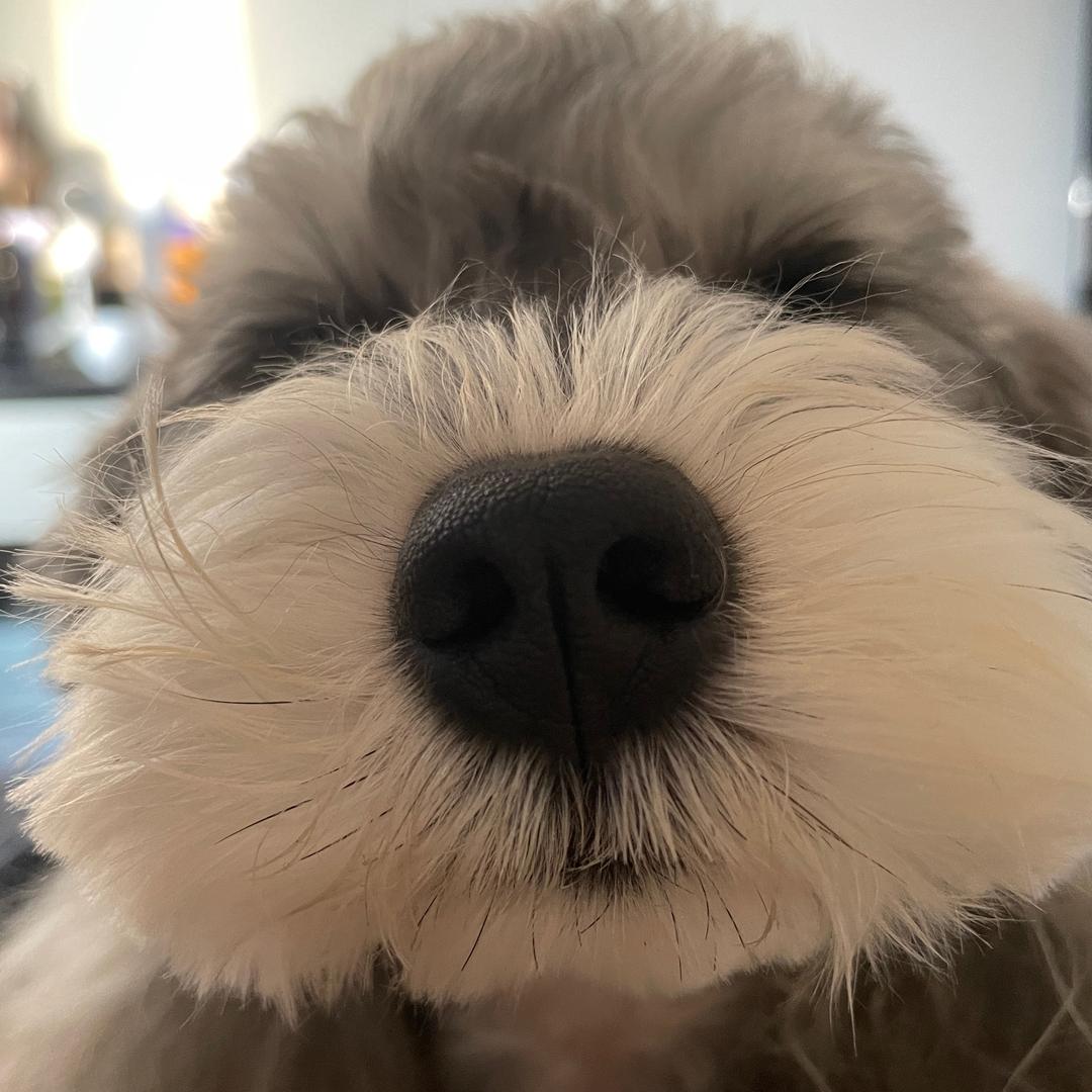 澈澈澈