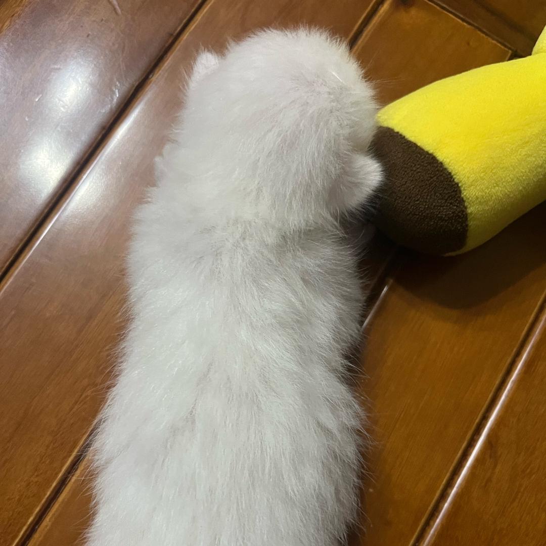 浮生不如梦一场