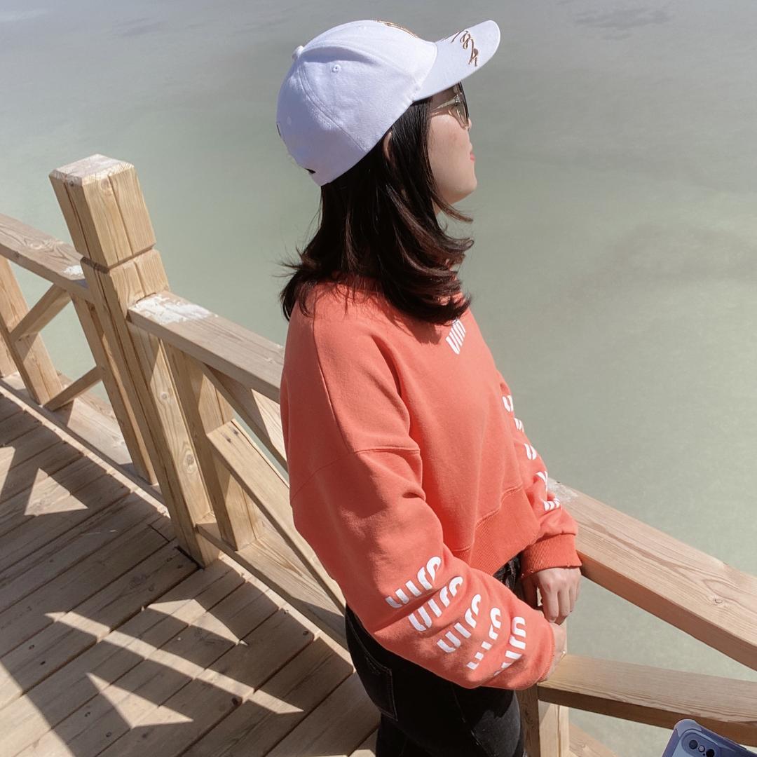 成都盛世诚宇手机个体店