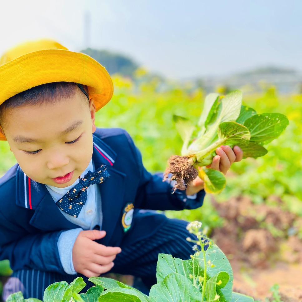 小嘟爱分享