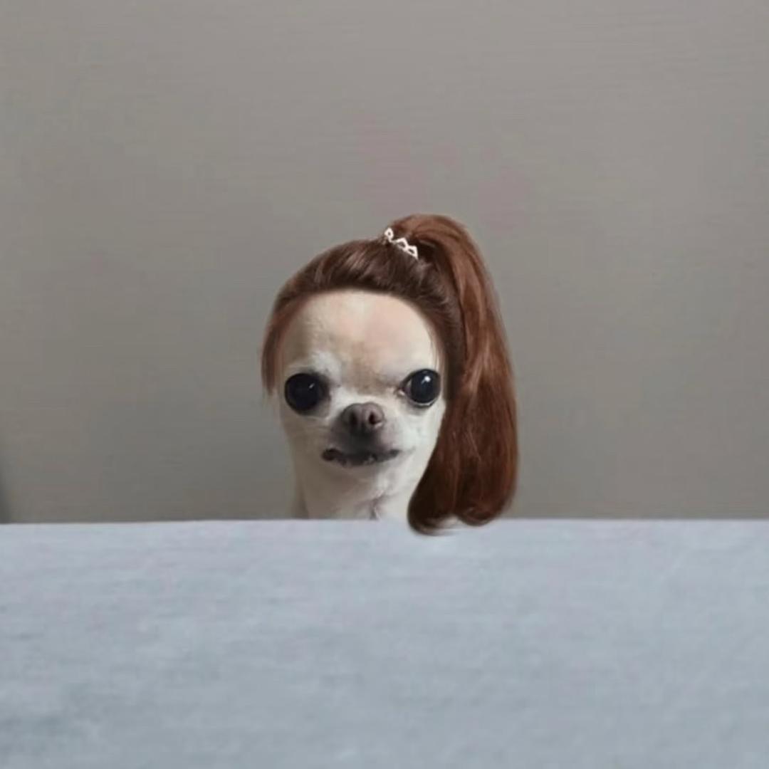 AAA眼球维修护理_