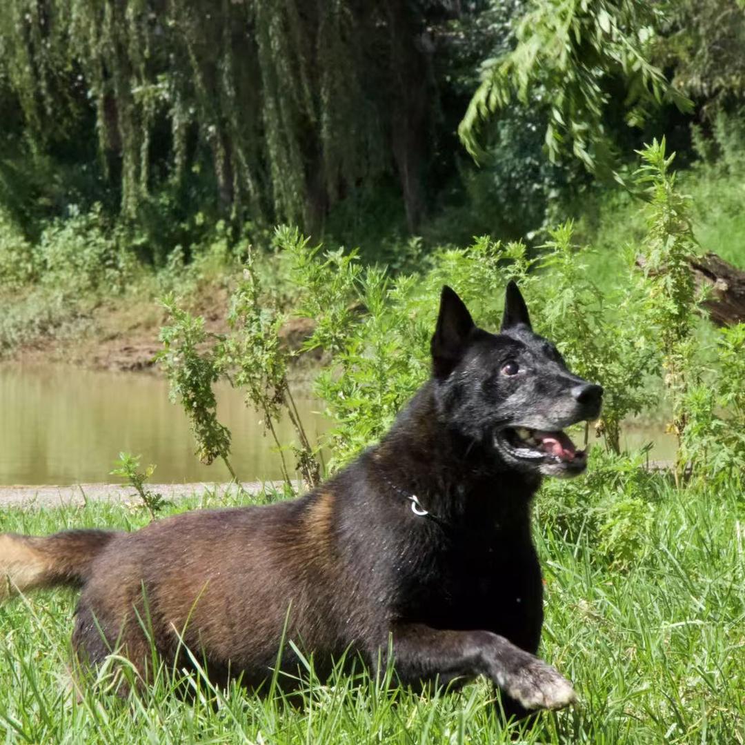 ：ღPasserby（过路人）