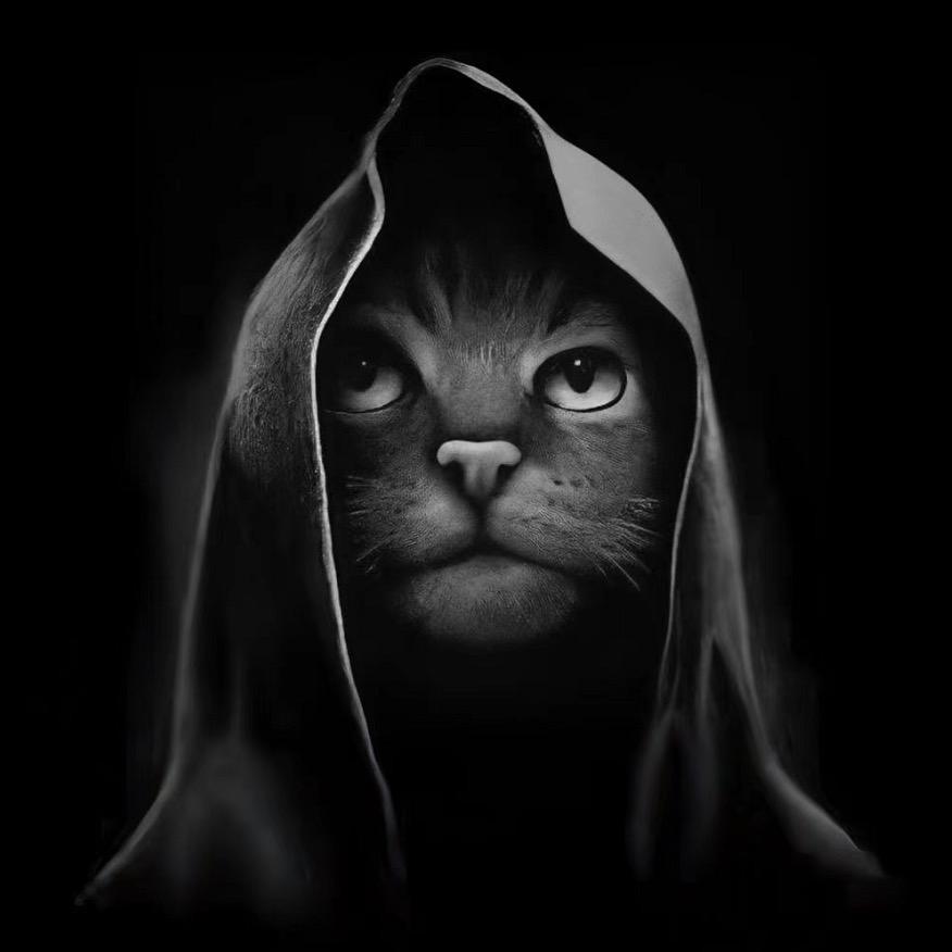 猫神记录片