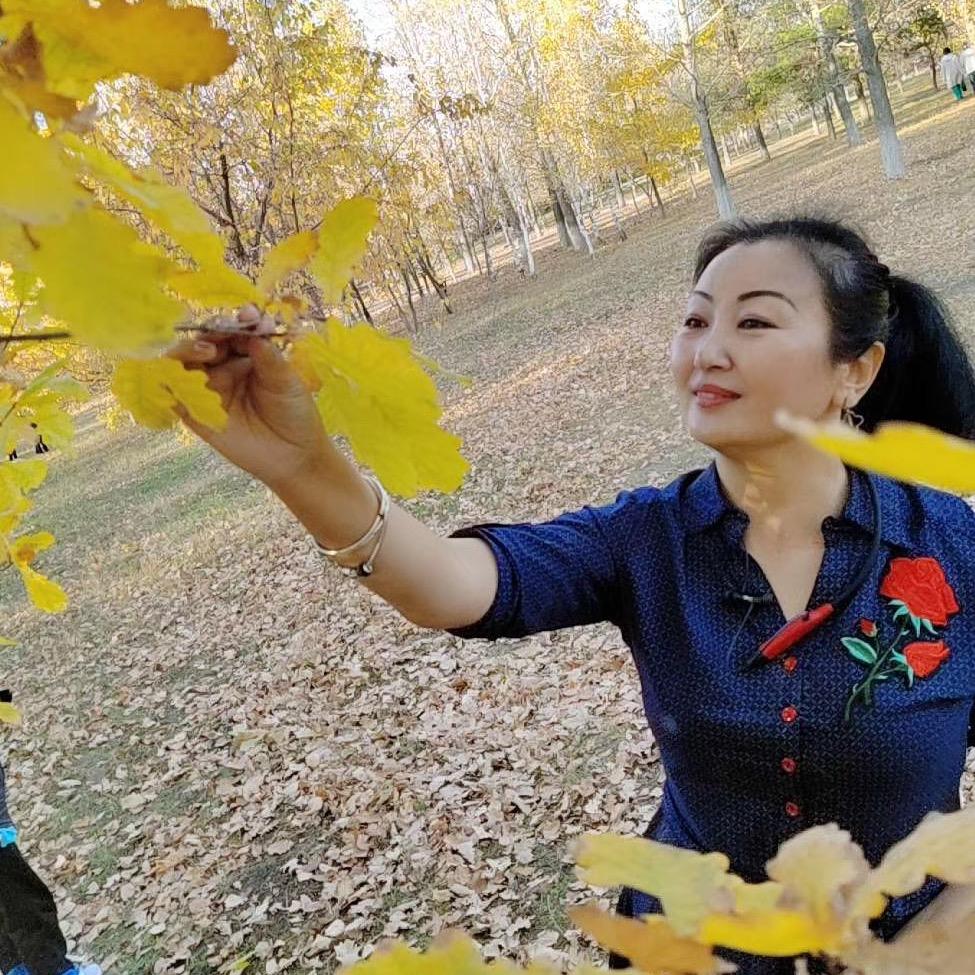 金盏花