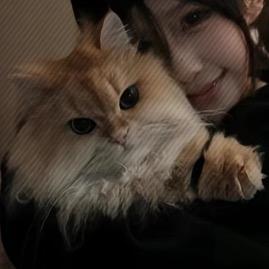 爱上天秤.