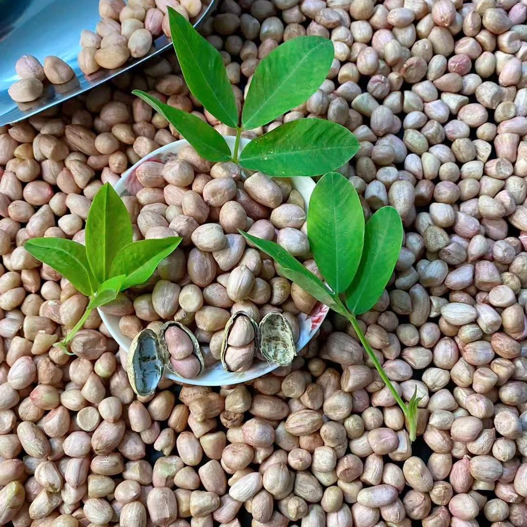 满口香花生坊